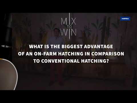 ON-FARM HATCH: NEW TREND IN EUROPE