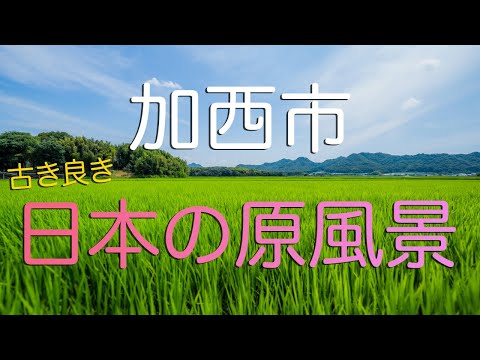 【兵庫県加西市】日本の原風景を連想させられる緑の大地（田園風景）/ Walking in Reproduced Japan's Primal Scene.