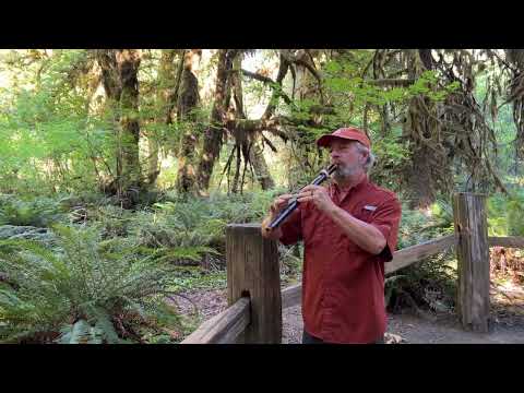 Hall of Mosses, Randy “Windtalker” Motz, Native American Style Flute #ambientmusic