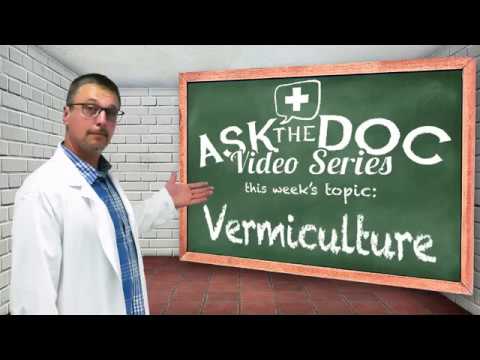 What is Vermiculture? Ask the Doc!  Worms in your Garden - Vermicompost - Organic Gardening Farming