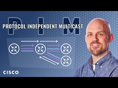 What is Protocol Independent Multicast (PIM)?