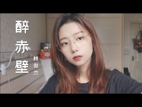 《醉赤壁》确认过眼神，我遇见怼的人 | 邓园长 Official Cover