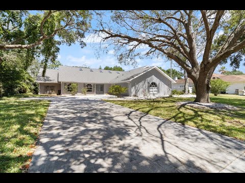 4318 RIVER BIRCH DR, SPRING HILL, FL 34772