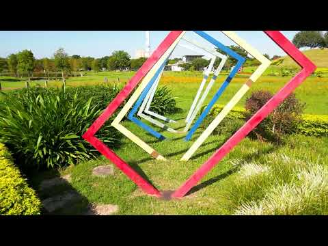 2024 10 11 台中后里環保公園 欒樹 落羽松 DJI MINI 3 PRO穿越MV 4K60P