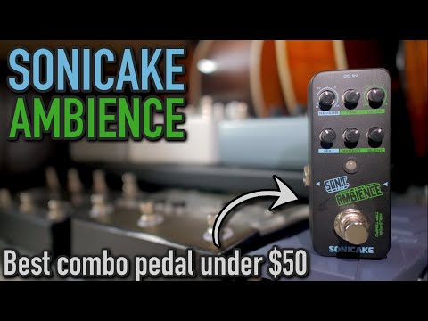 An Unbeatable Reverb & Delay Pedal for $50 // Sonicake Ambience