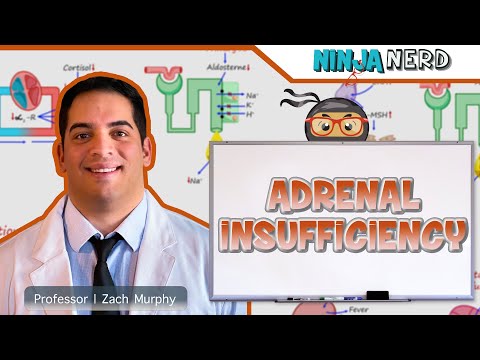 Adrenal Insufficiency | Clinical Medicine