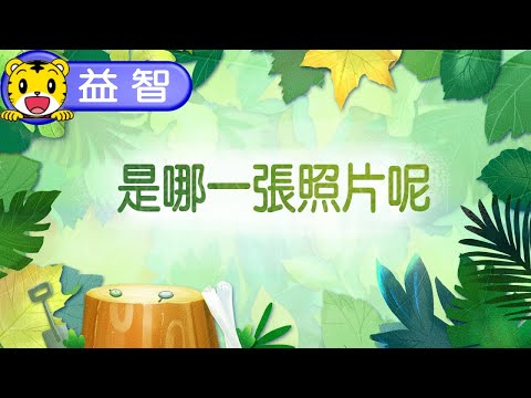 巧虎生活益智學習09【是哪一張照片呢】