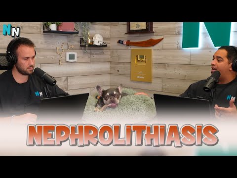 Nephrolithiasis | Podcast