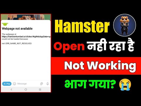 Hamster Kombat भाग गया Hamster Kombat Webpage Not Available | Hamster Kombat Down