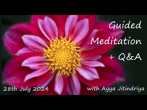 Guided Meditation + Q&A with Ayya Jitindriya ~ Sunday 28th July @ 7am AEST