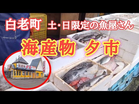 【北海道】白老町にある海産物「夕市」へ🐟️旨いもんを探しにいく😋