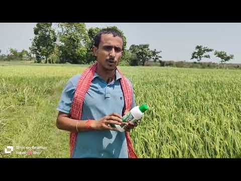 092 Farmer from Birbhum | West Bengal | Nano Urea Testimonial