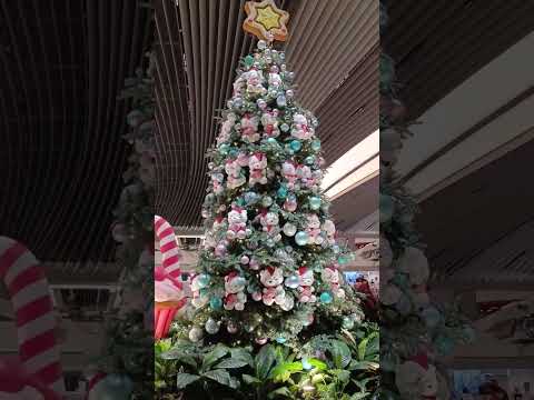 Changi airport terminal 2 #singapore #youtubeshorts #ytshorts #shorts #ytshort