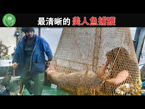 漁夫捕獲的是美人魚嗎？這15個最清晰的美人魚捕捉影像，會改變你對他們的認知【探索旅行號】