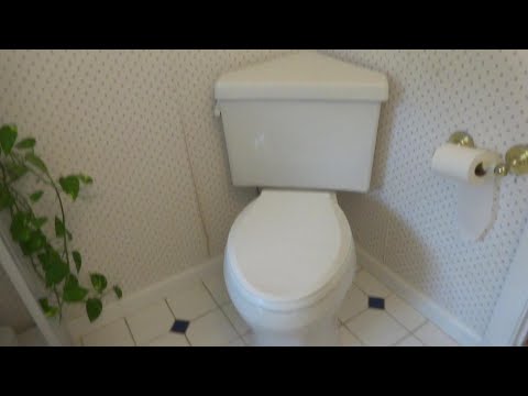 TOILET LEAKING ON FLOOR NEEDS SERVICE