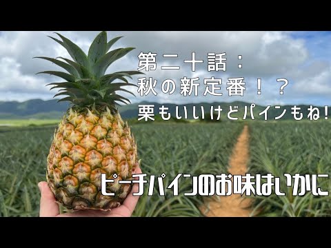 【第二十話：秋の新定番！？栗もいいけどパインもね！】〜ピーチパインのお味はいかに〜