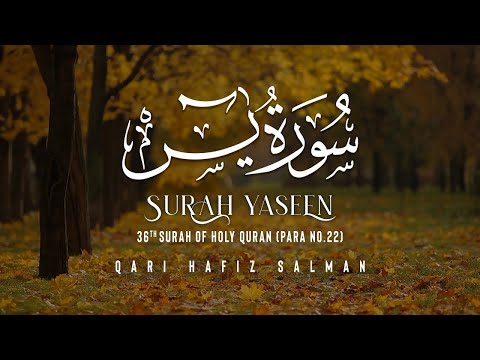 Surah Ya-Seen(يس) I Qari Hafiz Salman | 36th Surah of the Quran | Arabic Recitation | The Holy Quran