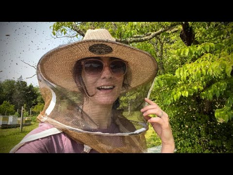 The MOST Amazing thing to Experience - Swarming Honey Bees In Action!!!!!