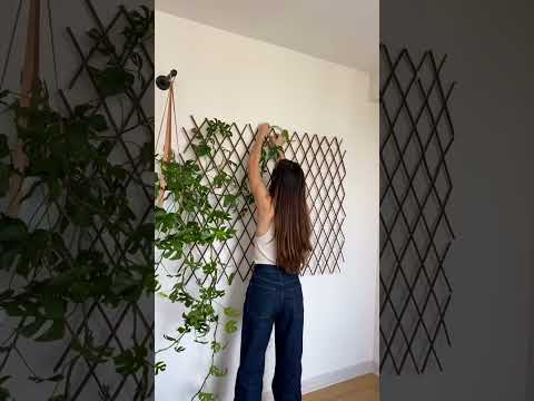 Indoor Plant Wall