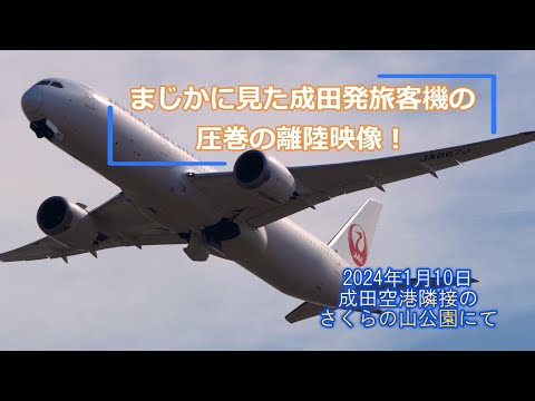 【圧巻】成田発旅客機離陸@さくらの山公園