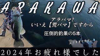 【荒川バス釣り】2024年締め作業。アラバマで大掃除してきたお知らせ。