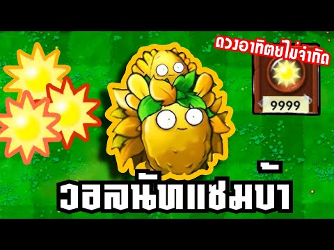 วอลนัทแซมบ้าผู้ถูกซอมบี้กัดแล้วถึงโกง Plants vs Zombies Fusion Mod