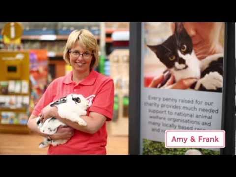 Support Adoption For Pets - Charity Video 2013