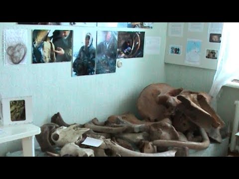 Remains of mammoths in the Khatanga museum - Geographic North Pole 2002 expedition