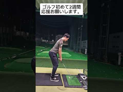 ゴルフ初めて２週間、応援お願いします🙇⤵️#golf #golfshorts #golfswing #ゴルフ練習動画 #ゴルフ初心者