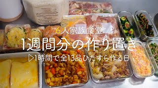 【1時間で全13品5000円】1週間分の作り置き＆冷凍ストックをひたすら作る日【６人家族のつくりおき】【簡単レシピ】