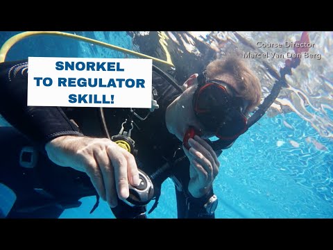 Snorkel to Regulator Exchange - PADI Open Water Diver Course • Scuba Diving Tips