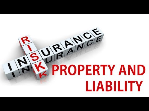 Property and Liability Insurance