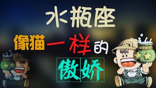 【水瓶座】水瓶座像貓一樣傲嬌又神秘，可愛又冷漠，水瓶座真的讓人著迷！