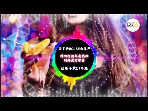 国粤语HOUSE立体声,精心打造年度热推网络流行歌曲,劲爆车载DJ串烧！