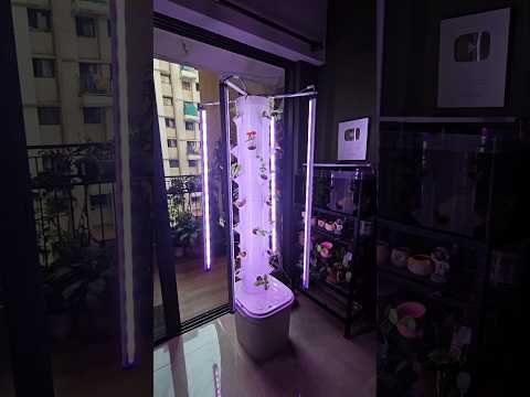 Hydroponics Setup by Urban Farm #navimumbai