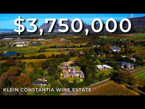 Inside the Ultimate Luxury Vineyard Estate: 9 Bedrooms, Scenic Views, and More!