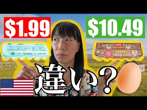 【アメリカ卵事情】アメリカの卵の違いを解説。卵は卵でもあなたはどの卵を買いますか？｜アメリカ生活｜アメリカ食事｜主婦レポ ｜40代