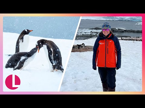 An Antarctic Christmas: 9,000 Miles From Home With Penguins | Lorraine