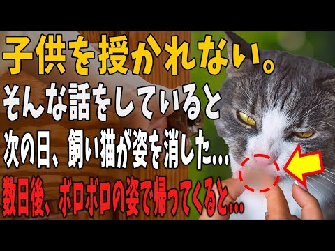 【猫の不思議な話】なかなか子どもを授かれない私たち夫婦。飼い猫はその悩みを聞いていたようで突然いなくなってしまった…→するとある日、ボロボロの姿で突然帰って来ると…【朗読】【猫】【感動】