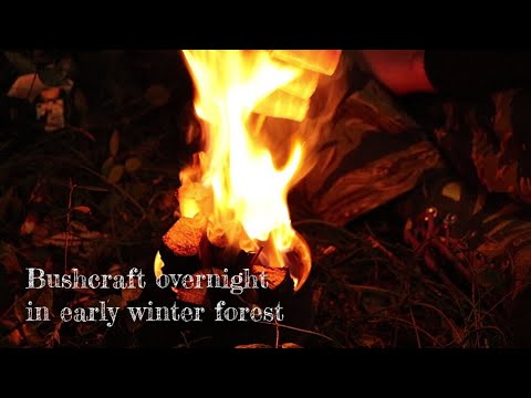 ブッシュクラフトオーバーナイト 初冬の森  Bushcraft overnight in early winter forest