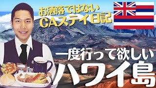 【CA密着】この仕事が好き！な理由の１つ。ハワイ島・コナ