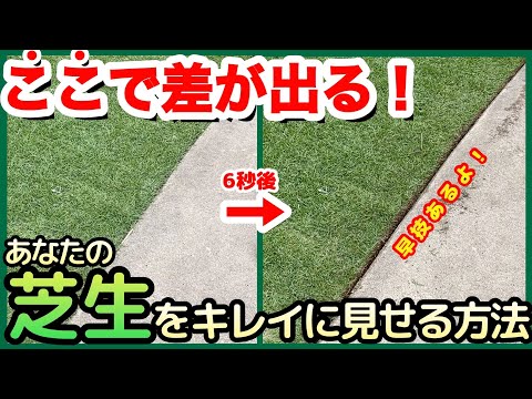 【褒められる芝生】芝生のキワ処理ってそんなに簡単にできるの！？暑くなる前にラクな道具と方法を見つけましょう！