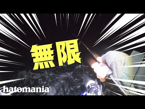 爆風の方が釣れる説【大阪湾アジング】