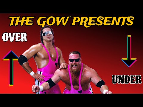 TAG TEAM SPOTLIGHT : THE HART FOUNDATION , LAX, YOUNG BUCKS , STEINERS , & MOTOR CITY MACHINE GUNS !