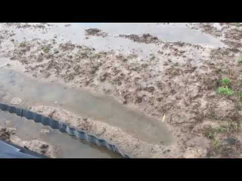 雨の無農薬米の田んぼ3月23日