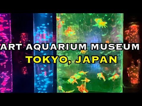 World's Biggest Goldfish Aquarium | Art Aquarium Museum Ginza | Tokyo, Japan