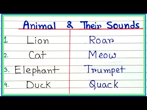 Animal sound name in English | Wild animal sound name | Sounds of animal