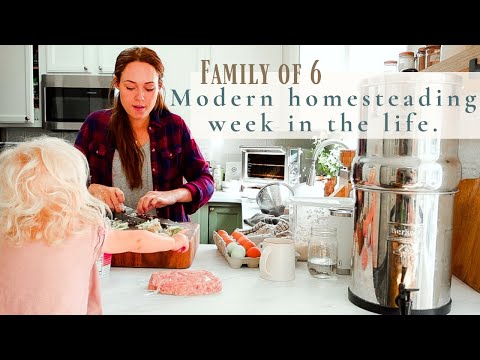 Modern Homesteading WEEK IN THE LIFE | family of 6