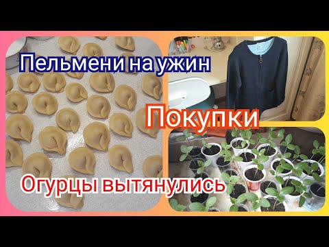 🔴Отключили горячую воду! Покупки для дочки! Леплю пельмени! Погода испортилась🌦