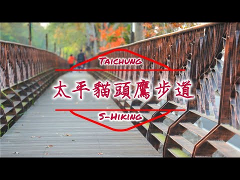 S步道｜台中｜太平貓頭鷹步道｜古農莊百年樟樹｜太平區